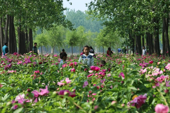 （菏澤市東明黃河森林公園。圖片來(lái)源：菏澤市攝影家協(xié)會(huì)）